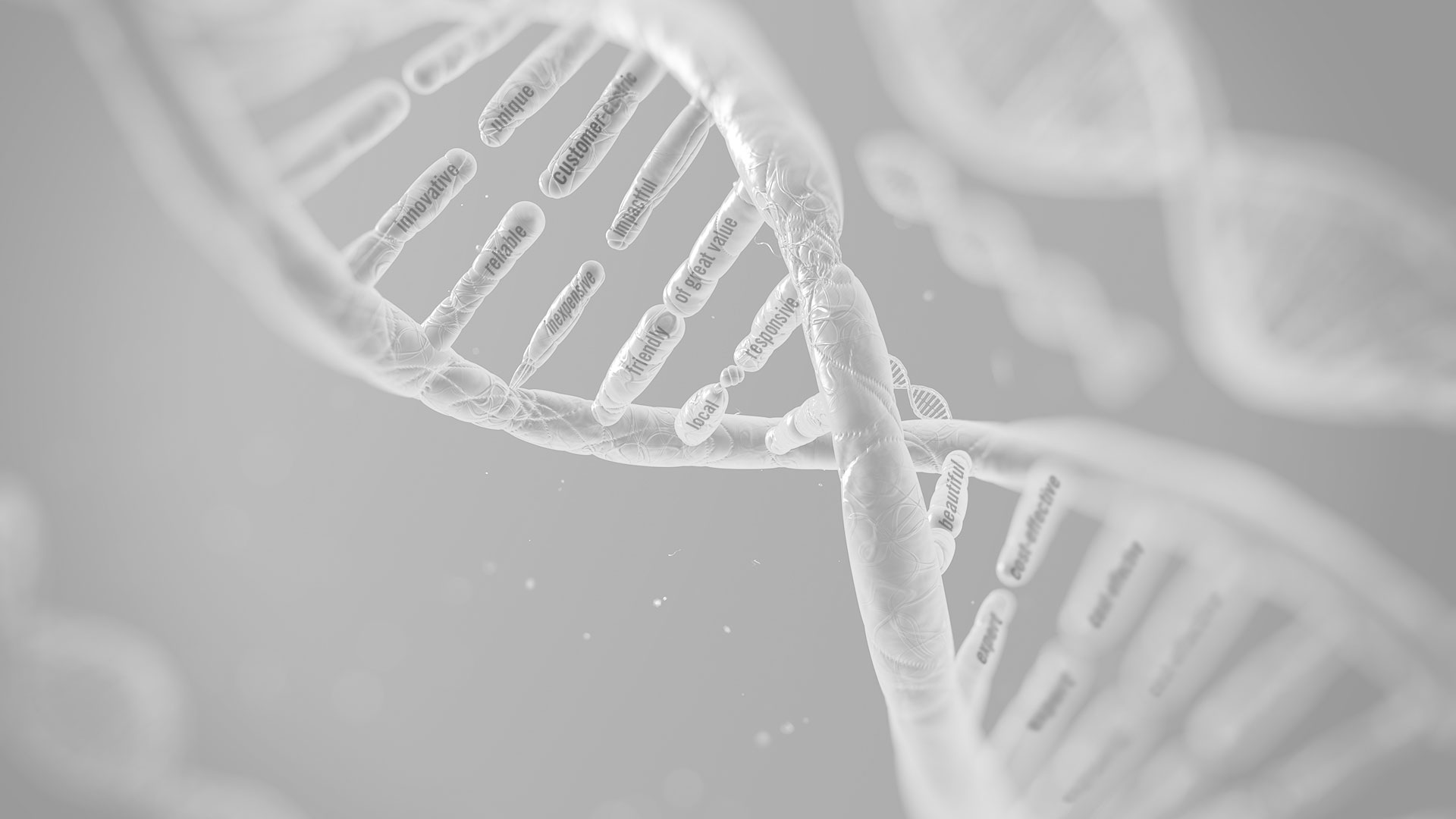 match-the-dna